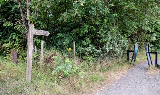 Walk The Line VOLUNTEER WALKERS NEEDED OVER 50yrs