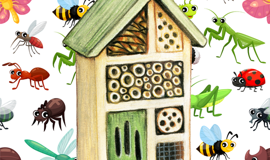 Build You Own Bug Hotel