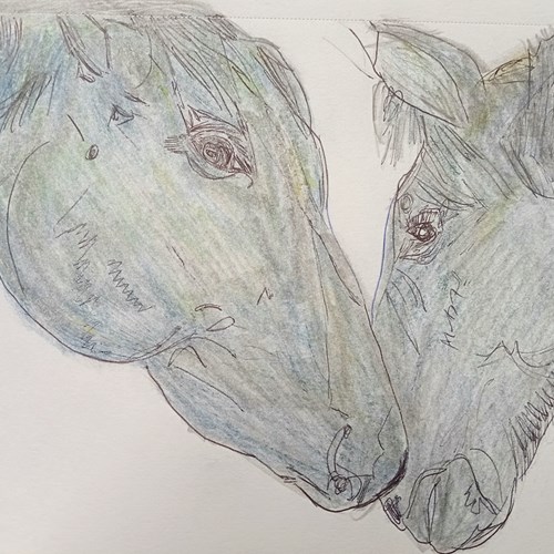 Pauline Robinson - Pit Ponies